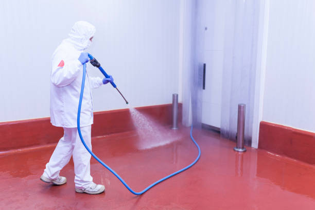 Best Soft Washing  in Elmhurst, IL